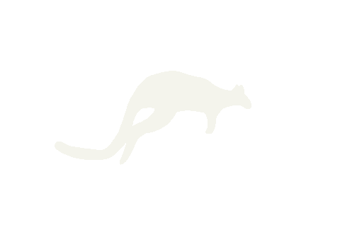 Wallaby Jumping